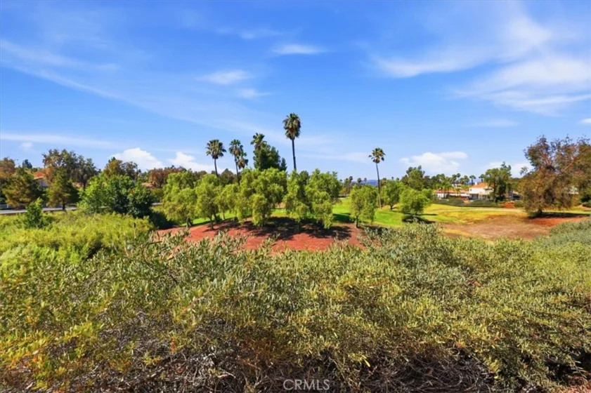 42145 Delmonte photo 42