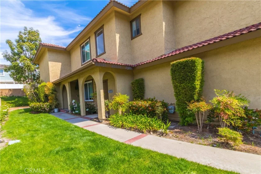 25261 Tanoak photo 4