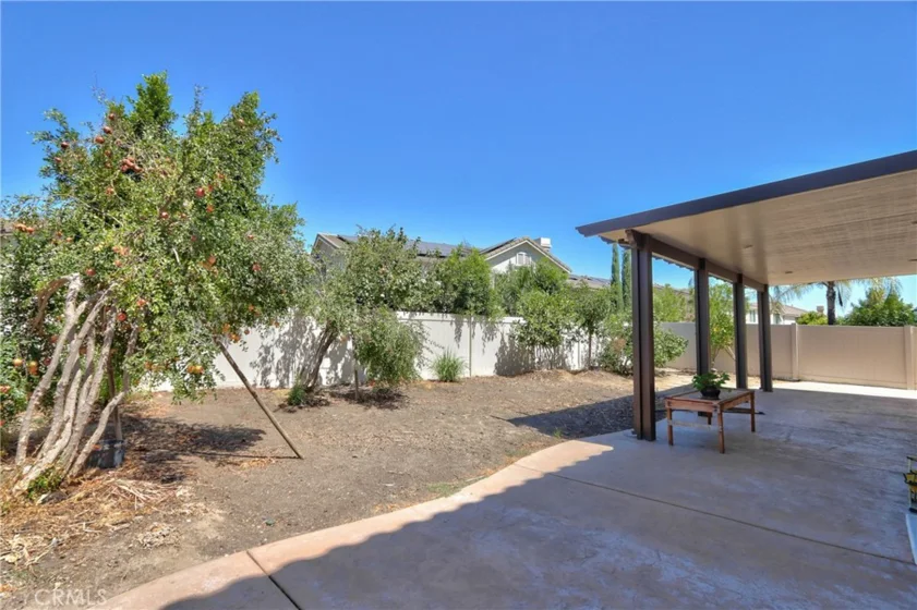 45743 Magnolia photo 44