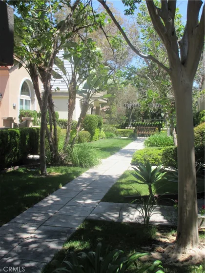 65 Figtree photo 8