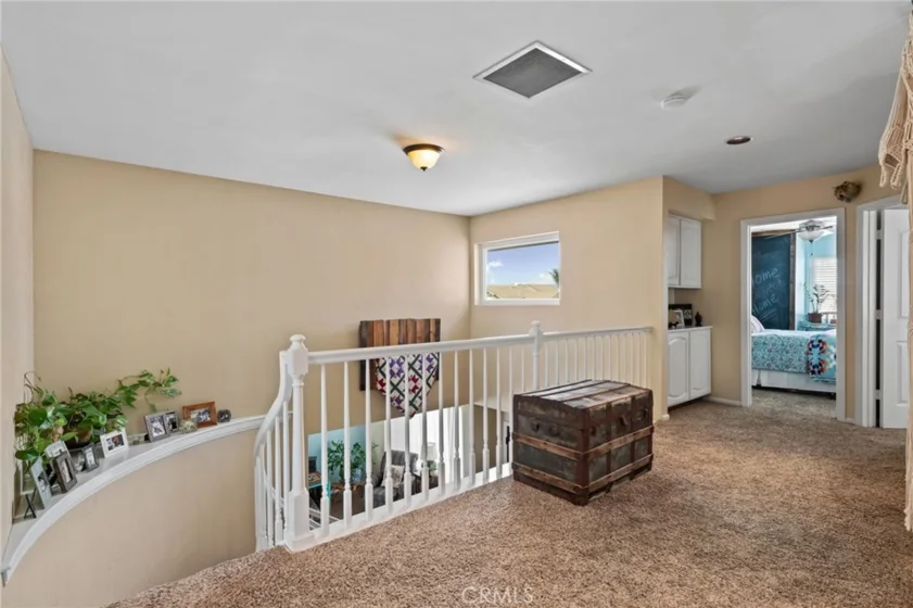 25401 Lacebark photo 37