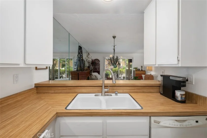 306 Tangelo #342 photo 13