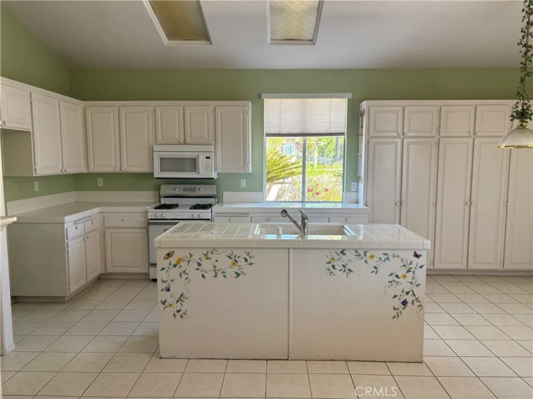 40614 Calle Galacia photo 19