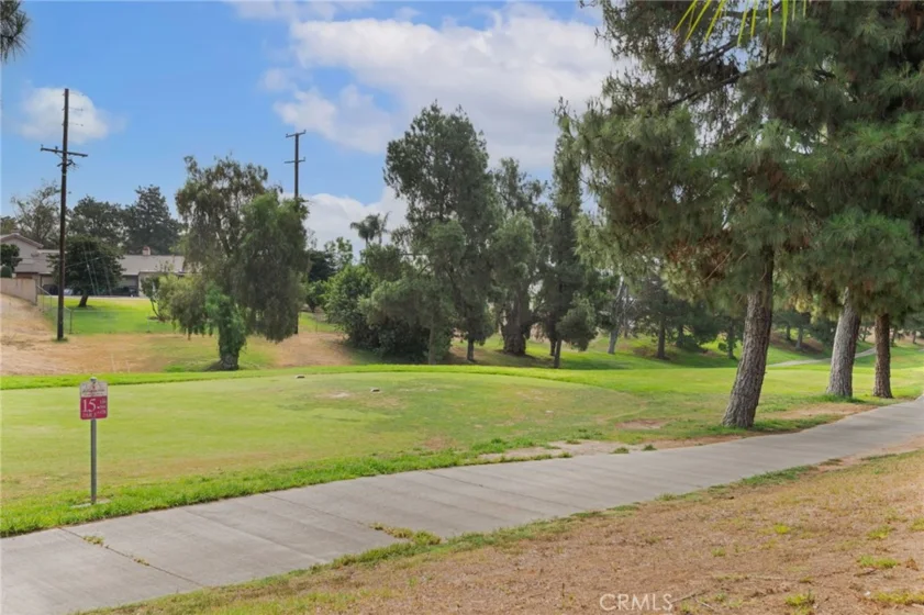 6168 Avenue Juan Diaz photo 31