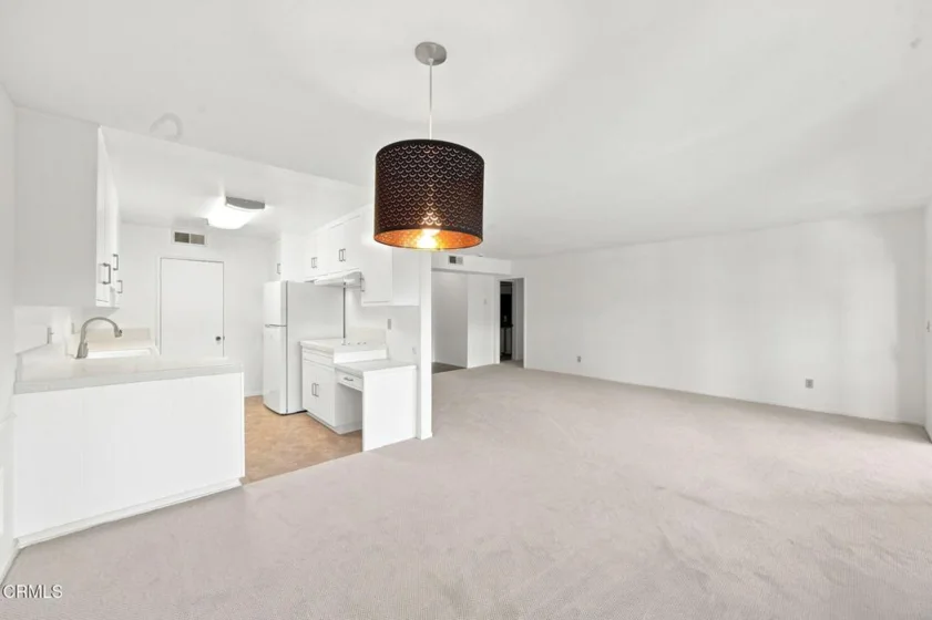 420 S Madison Avenue #204 photo 17