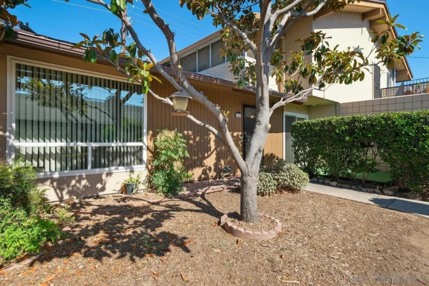 525 Shady Lane #C photo 1