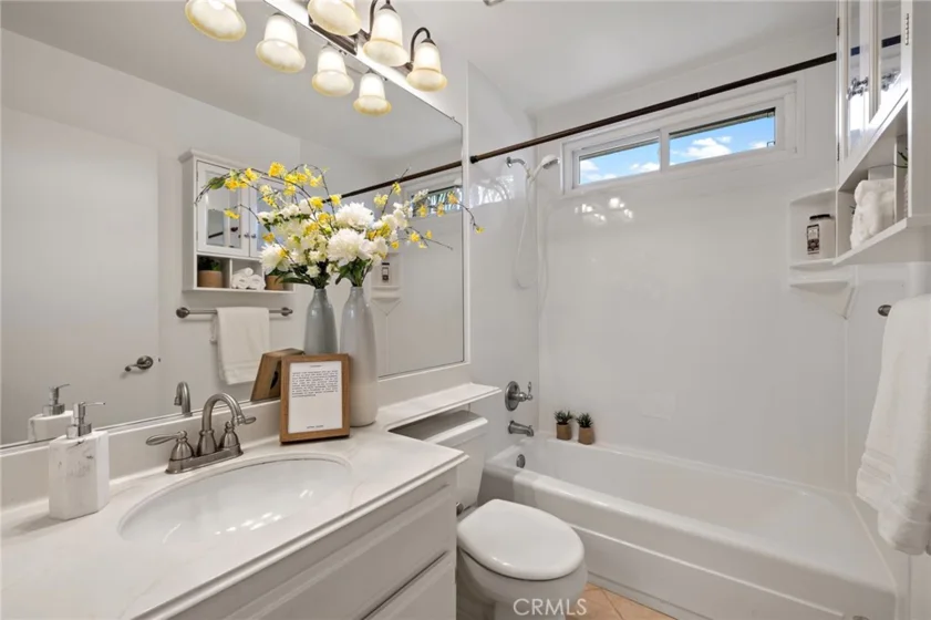 26907 Begonia photo 32