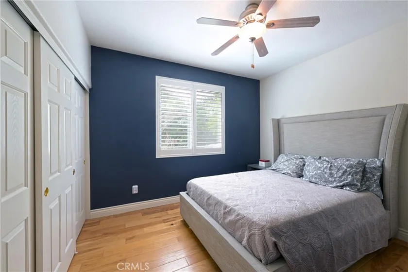 26784 Lemon Grass photo 42