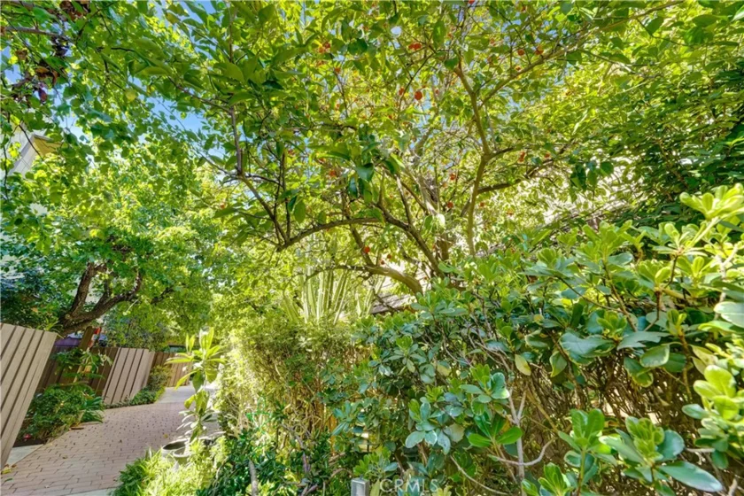 15053 Sherman Way #C photo 38