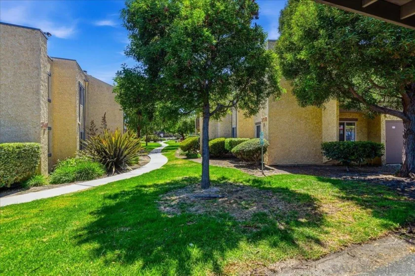 2910 Alta View Drive #203 photo 24