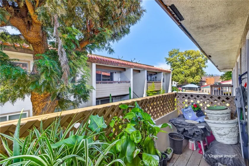 2521 W Sunflower #D 3 photo 21