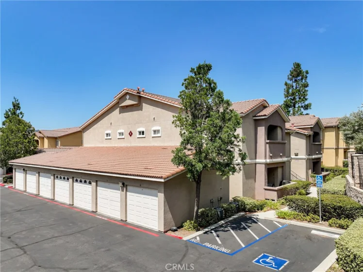41410 Juniper photo 32
