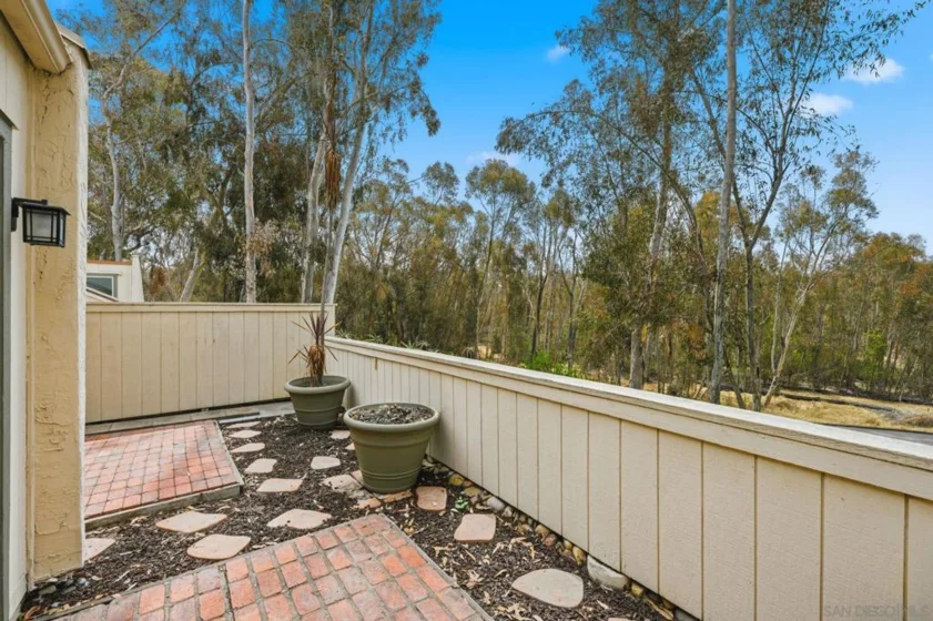 10217 Caminito Covewood photo 46