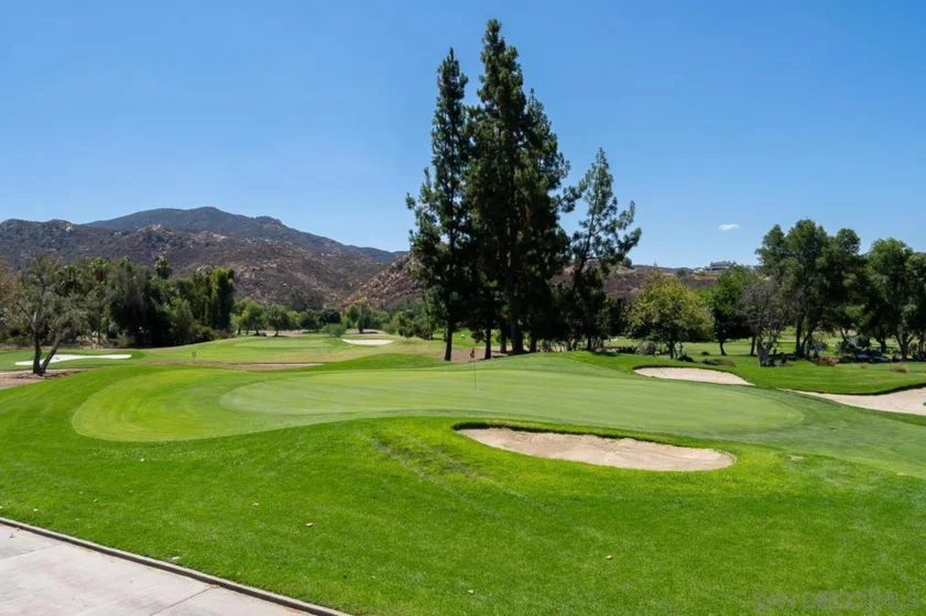 3321 Dehesa Road #95 photo 39