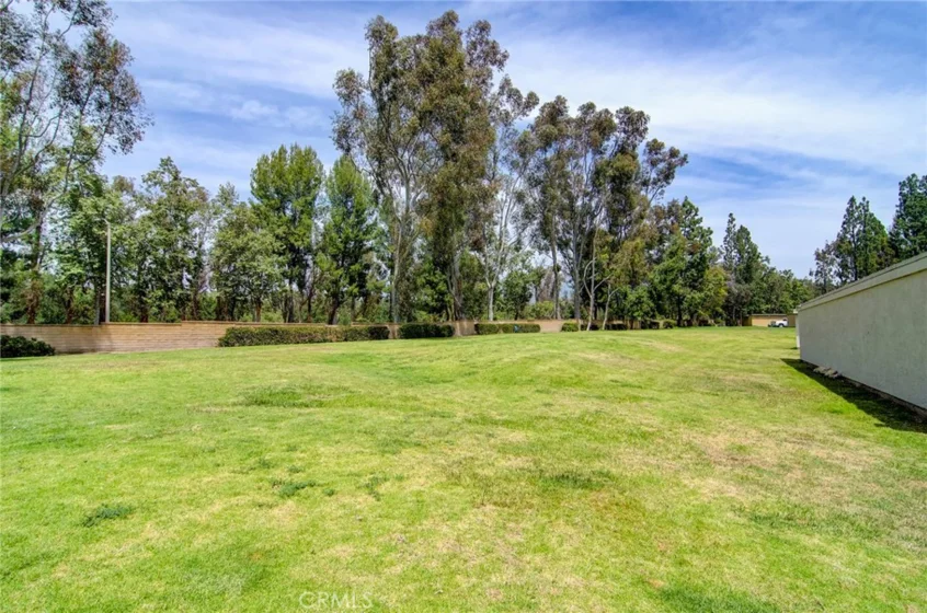 20702 El Toro Road #393 photo 20