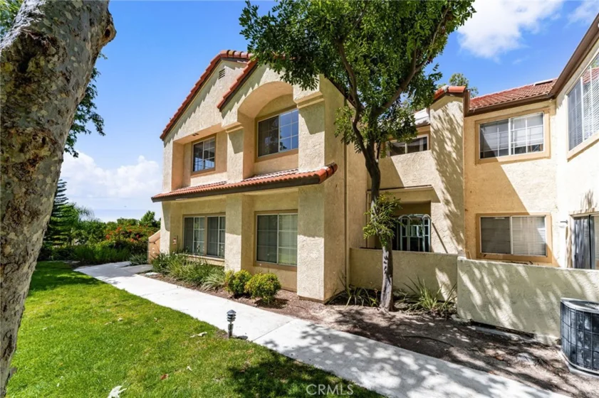21256 Camelia photo 2