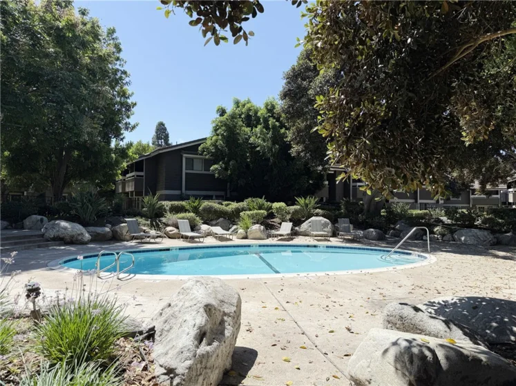 231 Springview photo 10