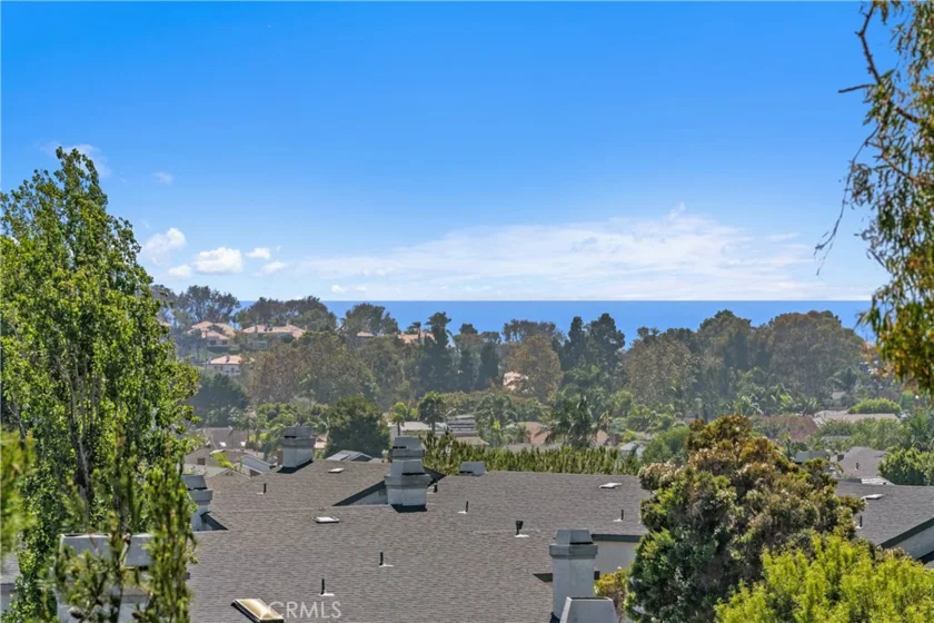72 Terra photo 1