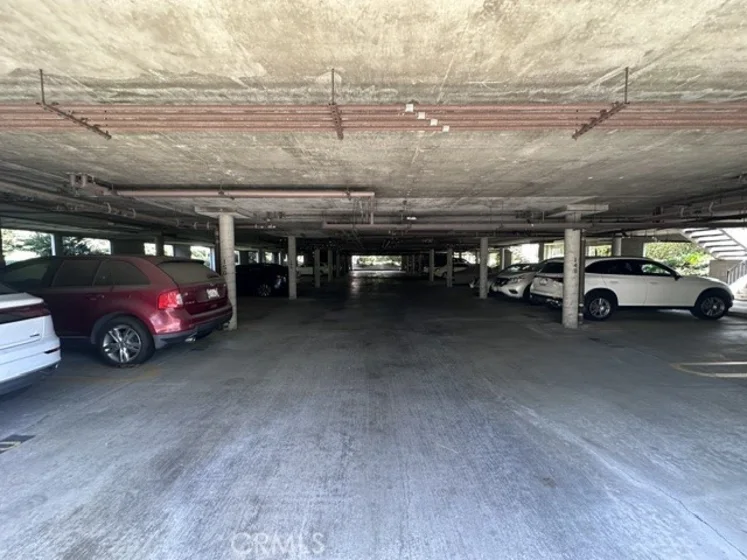 17191 Corbina photo 29