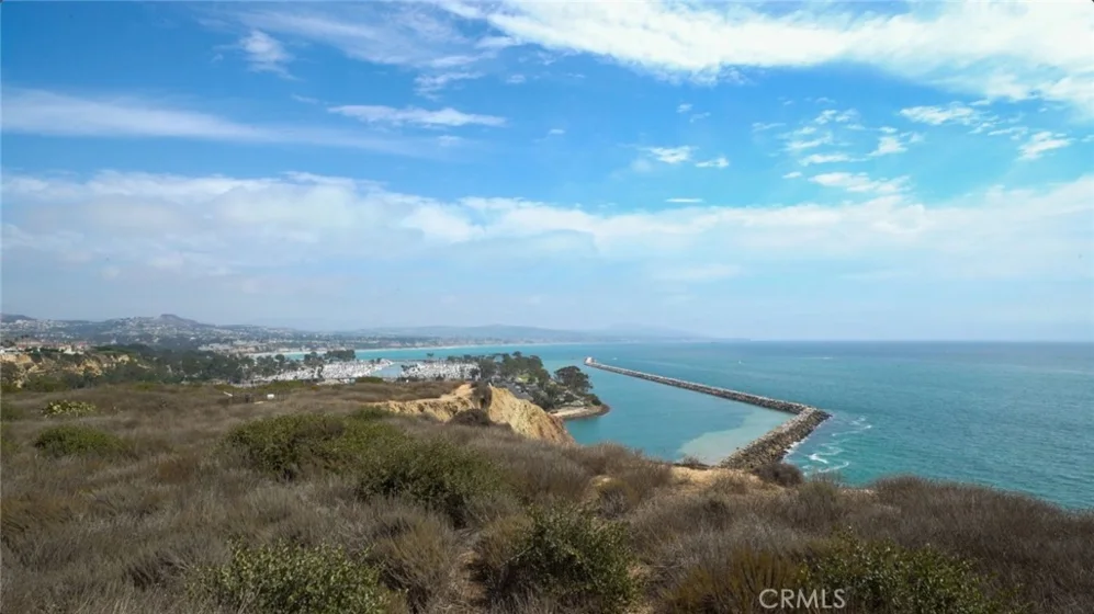 33852 Del Obispo #119 photo 38