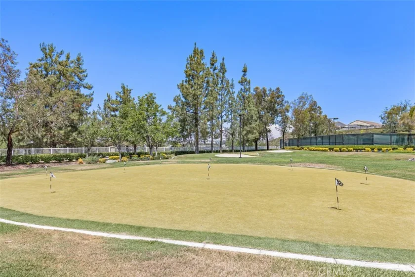 30179 Iron Horse Drive photo 49