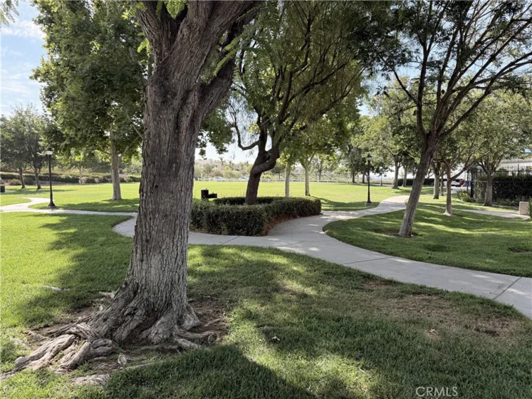 30917 Central Park Drive photo 42