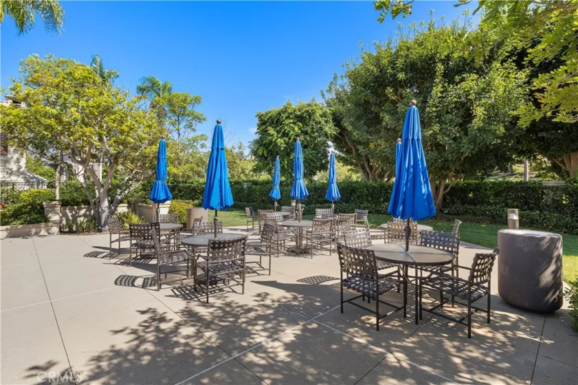 154 Chandon photo 59