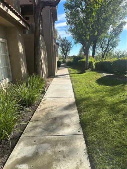 21245 Camelia #27 photo 7