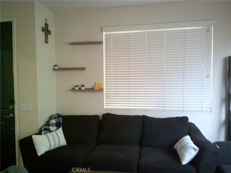 27959 Cactus #B photo 5