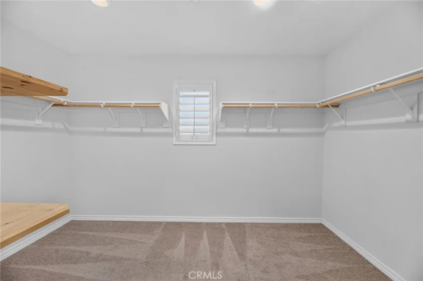 34136 Thistlewood Avenue photo 44