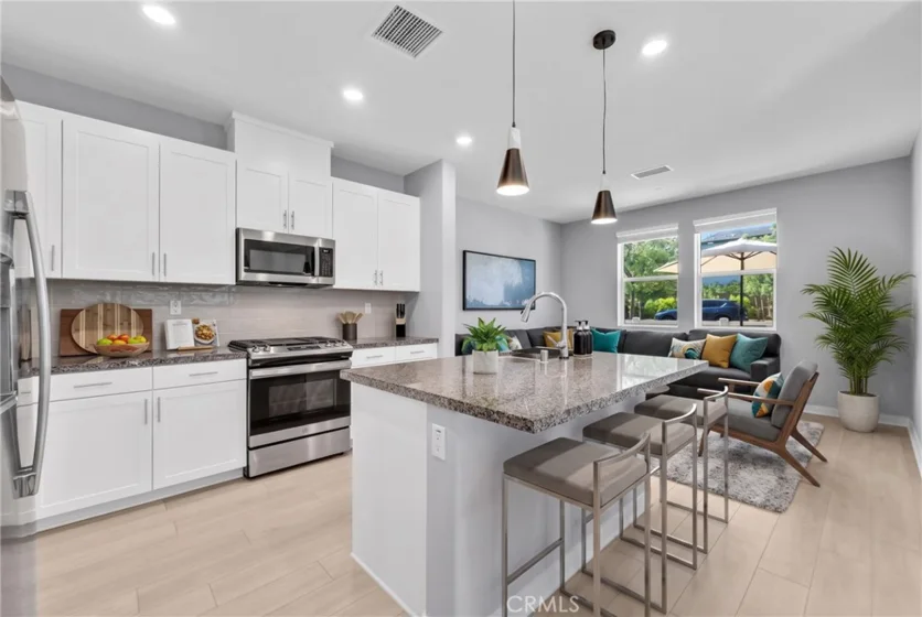 3948 Lavine Way #101 photo 4