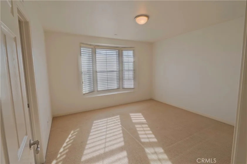 1333 Abelia photo 14