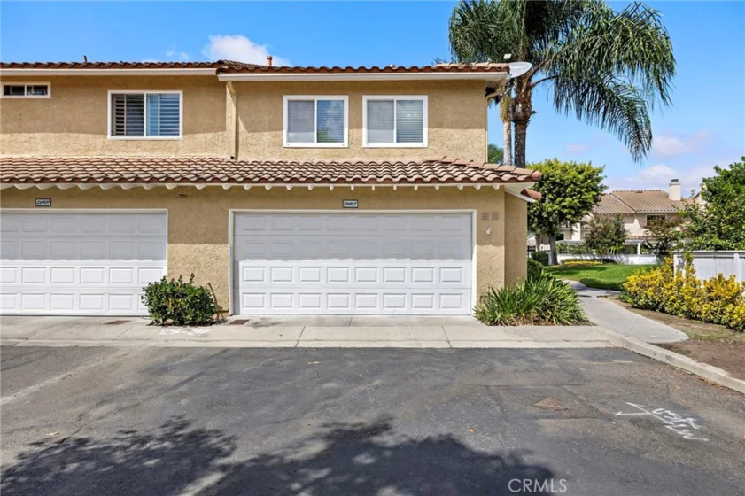26907 Begonia photo 38