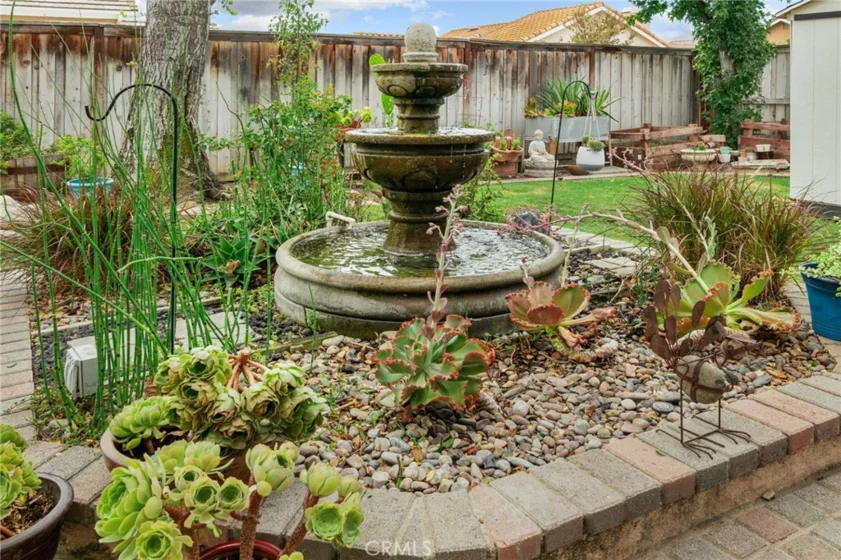25401 Lacebark photo 46