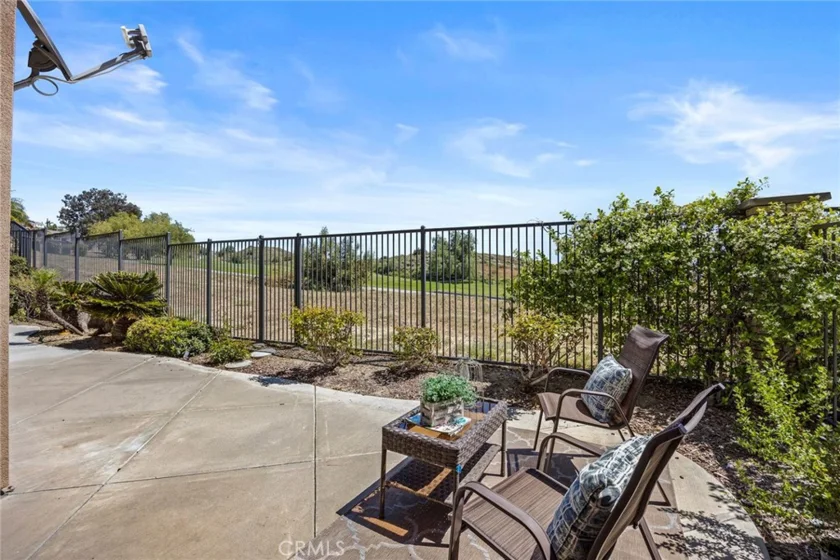 17206 Coriander Court photo 44