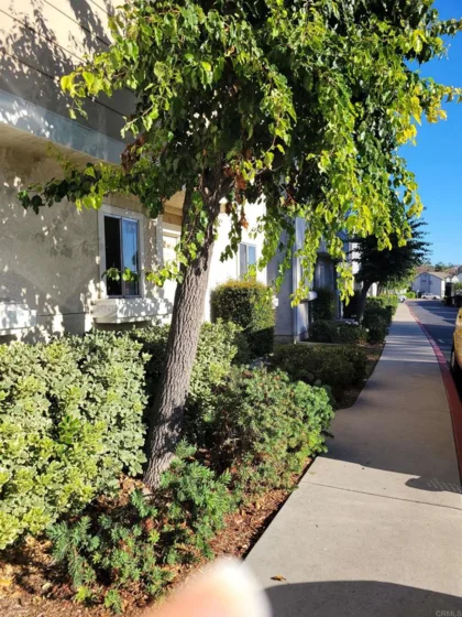 2563 Kings View Drive photo 1