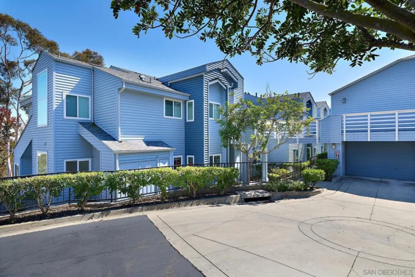 11037 Caminito Vista Pacifica photo 16