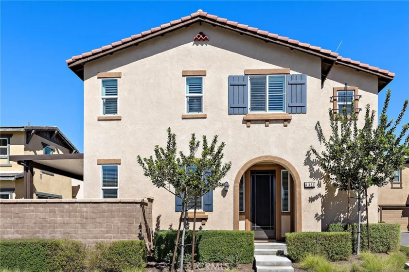41461 Winterberry photo 3