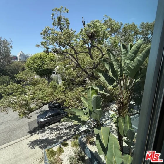 1328 Havenhurst Drive #202 photo 41
