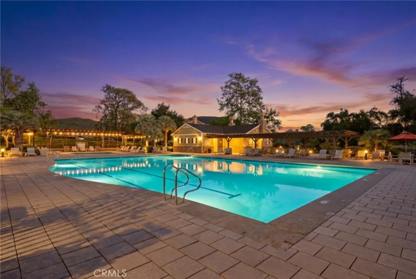 26748 Lemon Grass Way photo 49