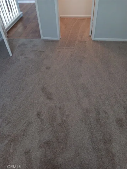 26451 Arboretum Way #3104 photo 15