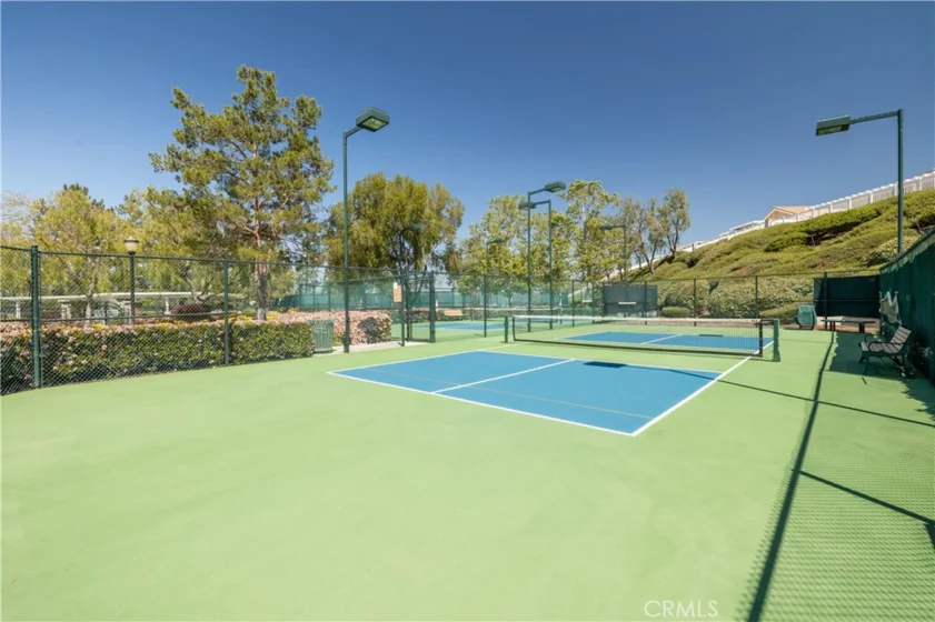 30321 Mayacamas Drive photo 45