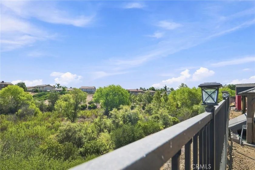 23682 Saratoga Springs photo 49