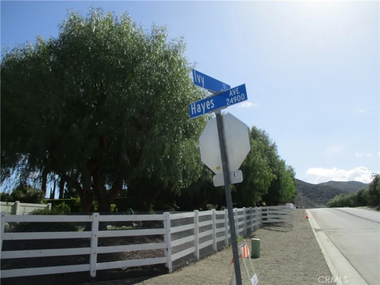 25070 Hayes Avenue photo 13