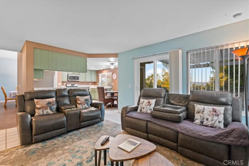 24591 Pantera Court photo 11