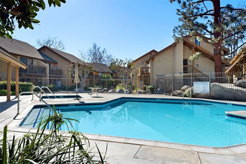 324 Tangelo photo 16