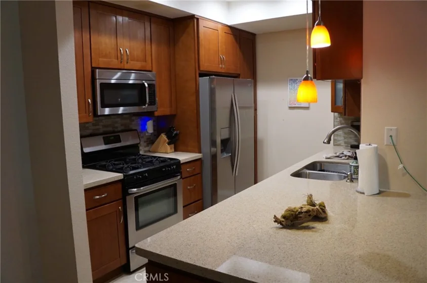 11225 Peach Grove Street #202 photo 2