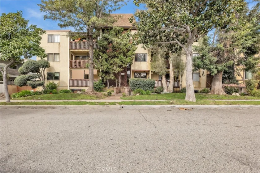 445 Ivy #204 photo 5