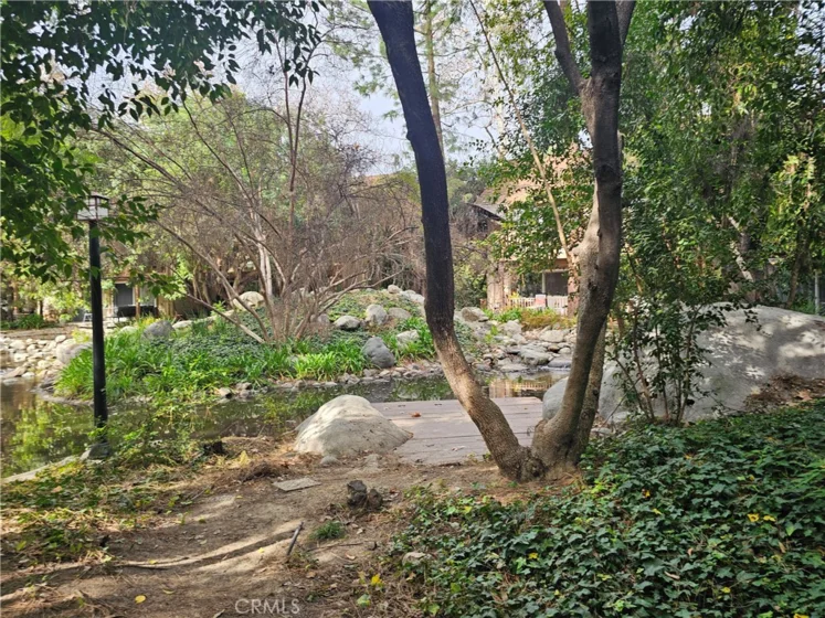 7150 Carlson Circle #65 photo 6