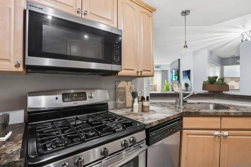 11115 Affinity Court #3 photo 13